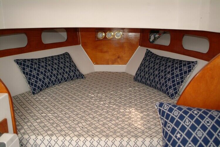 images/amelia-800-03.jpg 3