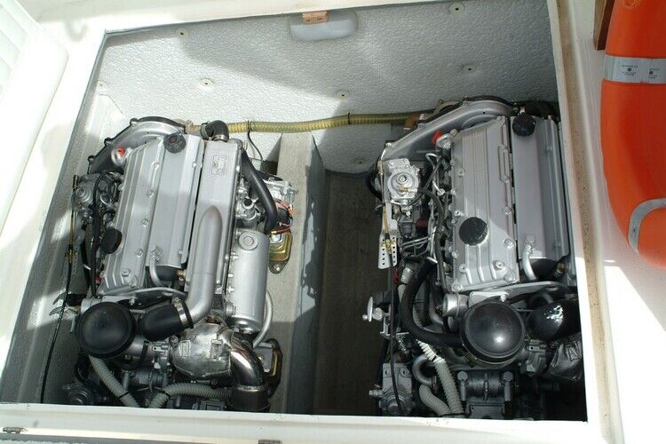 images/amelia-800-07.jpg 7