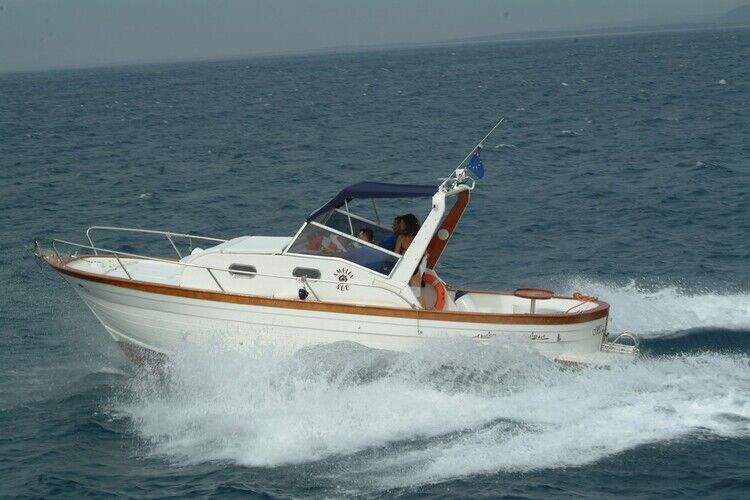 images/amelia-800-10.jpg 10