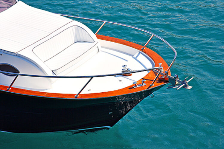 images/amelia-800-14.jpg 14