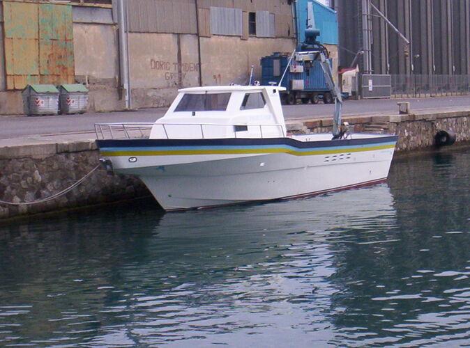 images/felix-52-fish-04.jpg 4