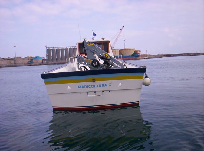 images/felix-52-fish-05.jpg 5