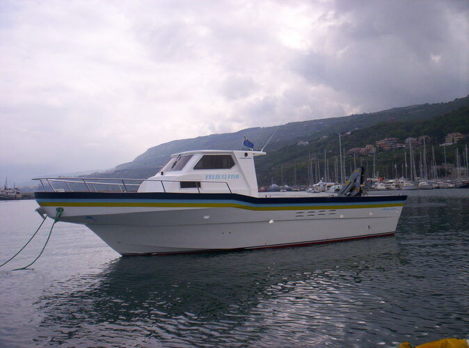 images/felix-52-fish-06.jpg 6