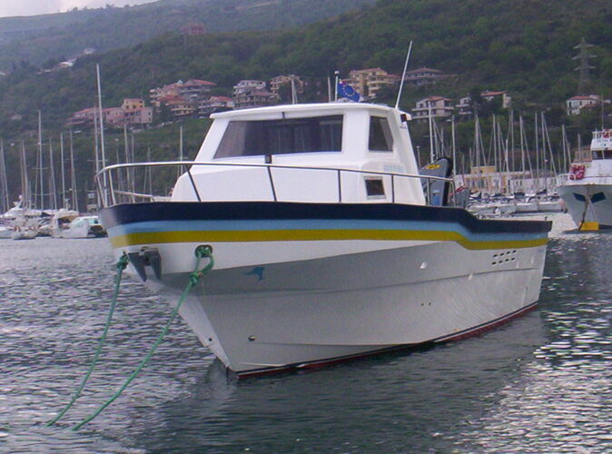 images/felix-52-fish-07.jpg 7