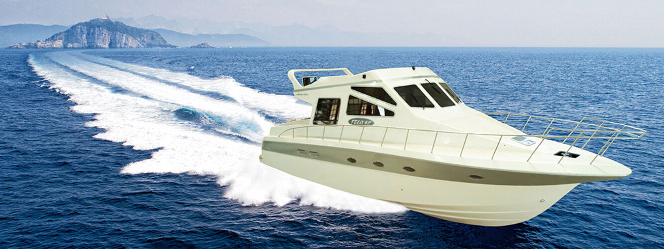 images/felix-52-fly-10.jpg 10